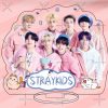 flat750x075f pad750x750f8f8f8 26 - Stray Kids AU Store