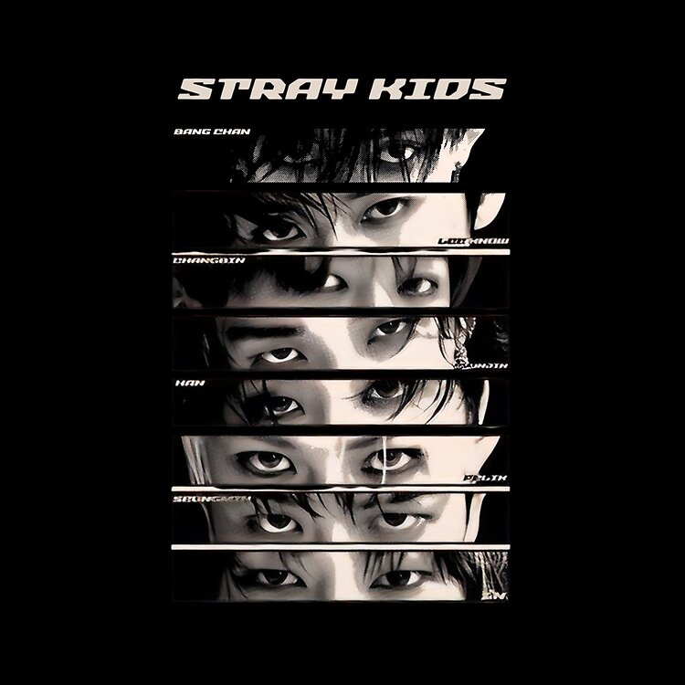 flat750x075f-pad750x750f8f8f8-27 flat750x075f pad750x750f8f8f8 27 - Stray Kids AU Store